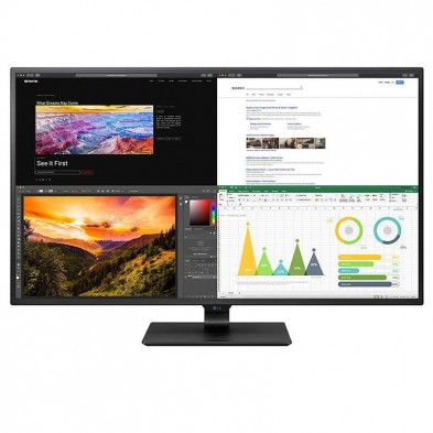 Monitor Profesional LG 43UN700-B 42.5"  4K  Multimedia  Negro