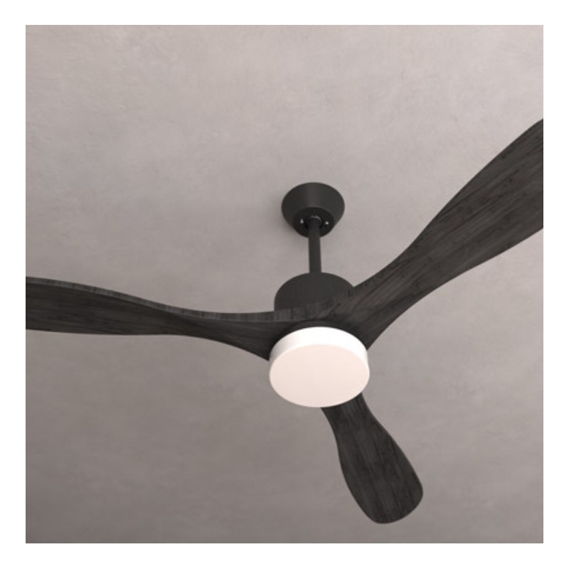 Cecotec ENERGYSILENCE AERO 5290 Grafito