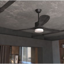 Cecotec ENERGYSILENCE AERO 5290 Grafito