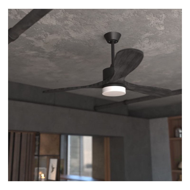 Cecotec ENERGYSILENCE AERO 5290 Grafito