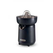 Ariete 0417/00 prensa de cítricos eléctricos 40 W Gris