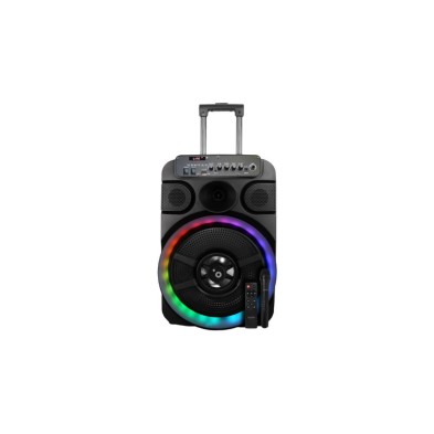 Altavoz Portátil Sunstech Muscles12Bk  Monofónico Portátil Negro 40 W