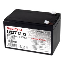 Sai Salicru Ubt 12/12