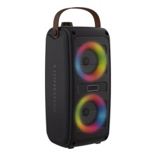 Altavoz Portátil Denver Btv-230 O De Fiesta  Estéreo Negro 10 W
