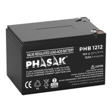 Batería Para Sai Phasak 12V 12Ah - Phb 1212
