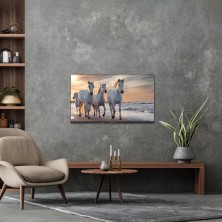 Thomson 43UA5S13 Televisor 109,2 cm (43") 4K Ultra HD Smart TV Wifi Negro