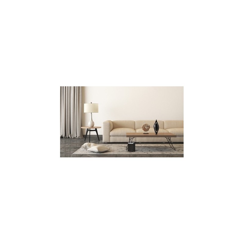 Rowenta SO9266 Interior Negro 2000 W Ventilador eléctrico