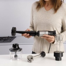 Taurus Bapi 1200 Premium Fullset Batidora de inmersión 1200 W Negro, Acero inoxidable