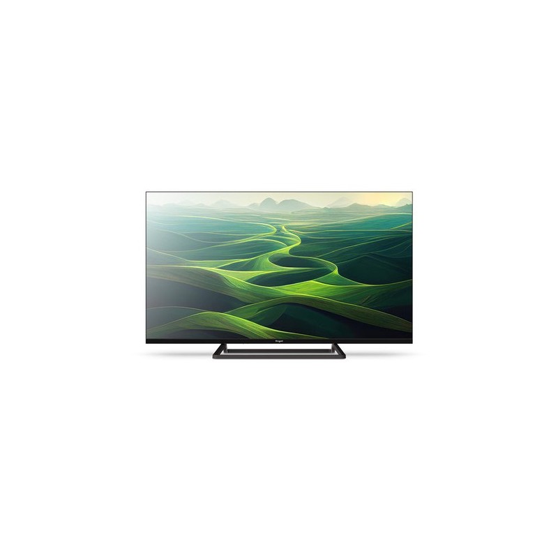 Engel LE4066T2 Televisor 101,6 cm (40") Full HD Negro 230 cd / m²