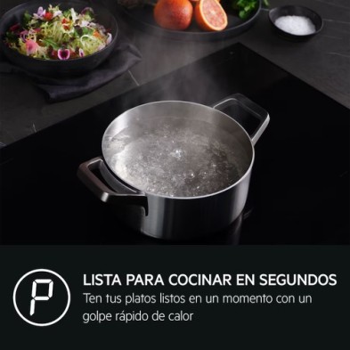 AEG TN63IP0BIB Negro Integrado 60 cm Con placa de inducción 3 zona(s)