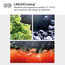 LG GSLC40PYPE nevera puerta lado a lado Independiente 638 L E Plata