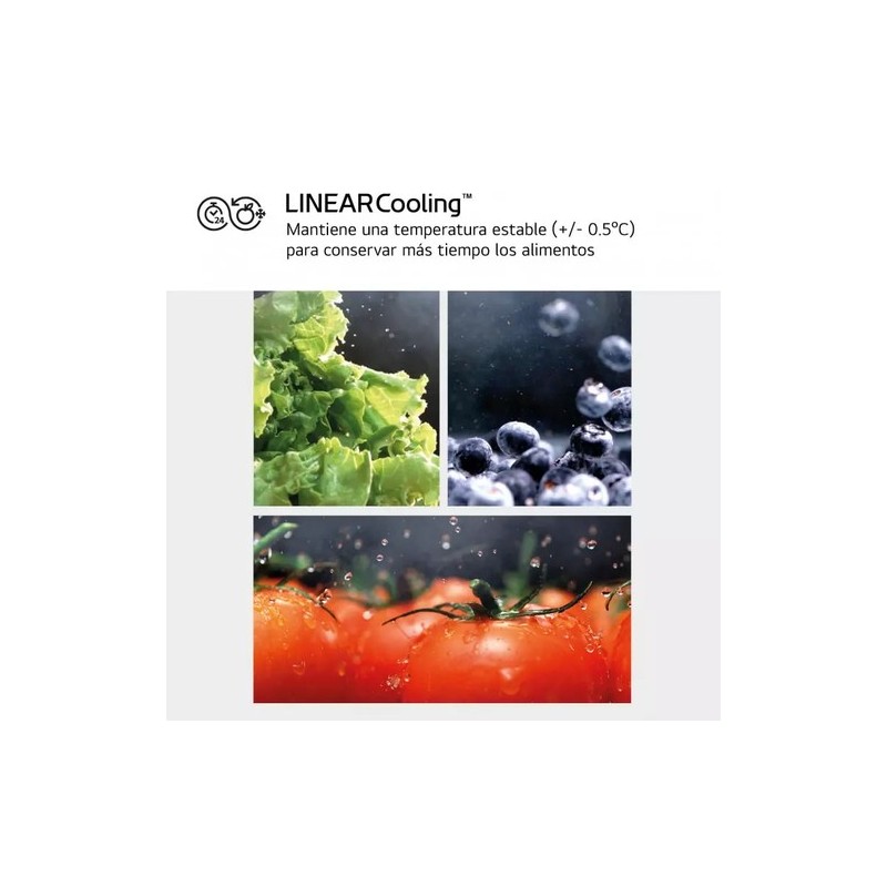 LG GSLC40PYPE nevera puerta lado a lado Independiente 638 L E Plata